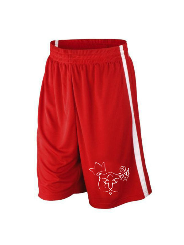 Evergem Tigers Training Shorts 2